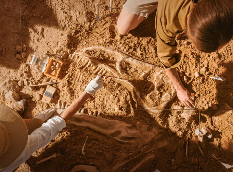 Naučnici u južnoj Kini otkrili prvi kompletan fosil vodenog reptila Dinocephalos