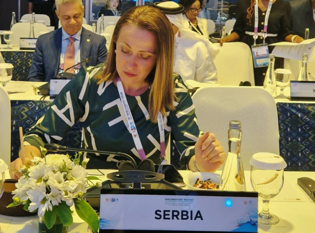 Snežana Paunović predstavljala Skupštinu na 10. svetskom forumu o vodama