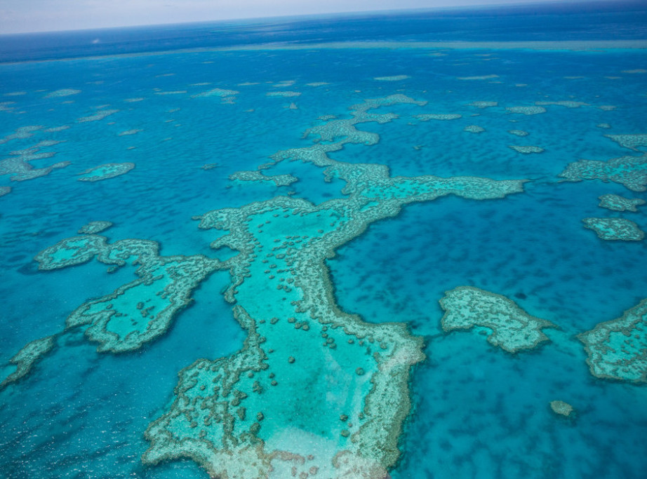 UN: Veliki australijski greben treba staviti na listu ugrožene svetske baštine
