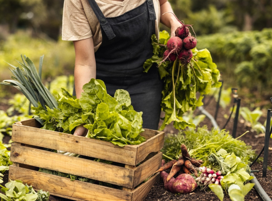 Predstavljena prva digitalna agro polisa u Srbiji