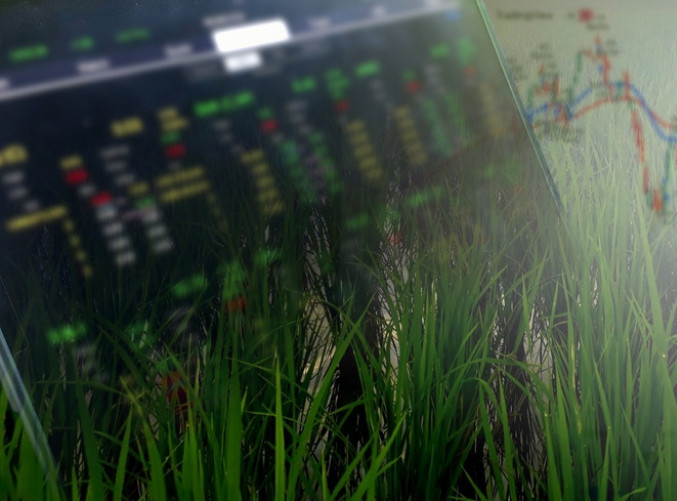 Poljoprivredni i ribarski proizvodi skuplji za 30 odsto nego pre godinu dana