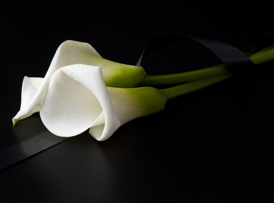 Preminula glumica Džozefina Čaplin, ćerka Čarlija Čaplina