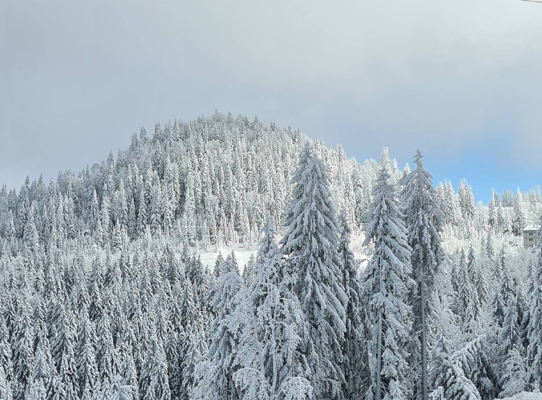 Upozorenje RHMZ: Na planinama i više od 30 centimetara snega, na snazi narandžasti meteo-alarm