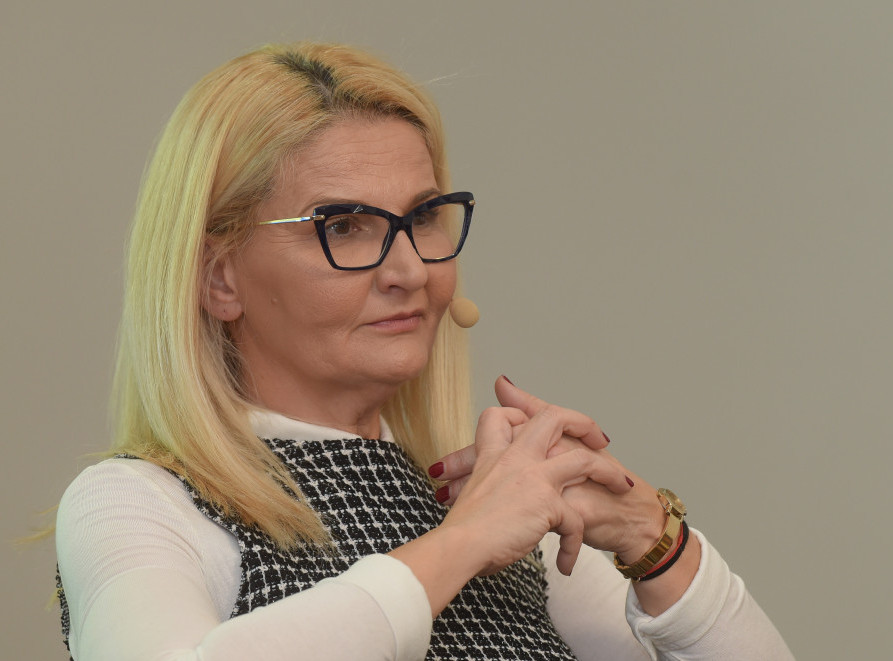 Miscevic: No territory has ever made EU bid, member states skeptical