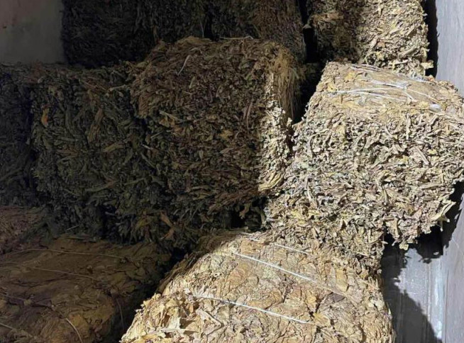 Hrvatska: Uhapšeno 12 osoba zbog sumnje da su prokrijumčarili više od tone duvana