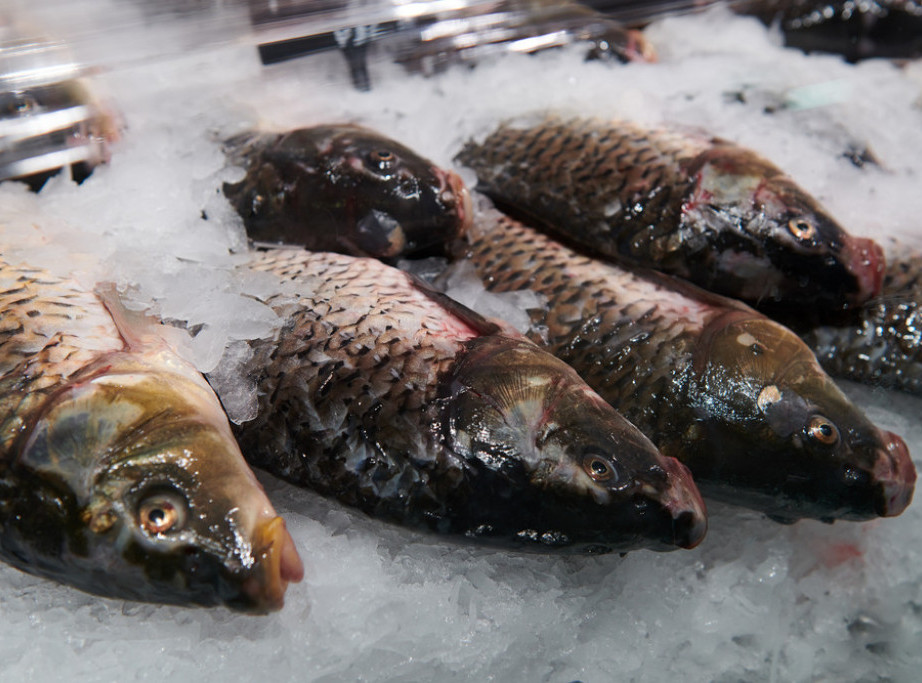 Srbija nema dovoljno ribe za potrebe domaćeg tržišta, šaran u marketu košta od 670 do 800 dinara