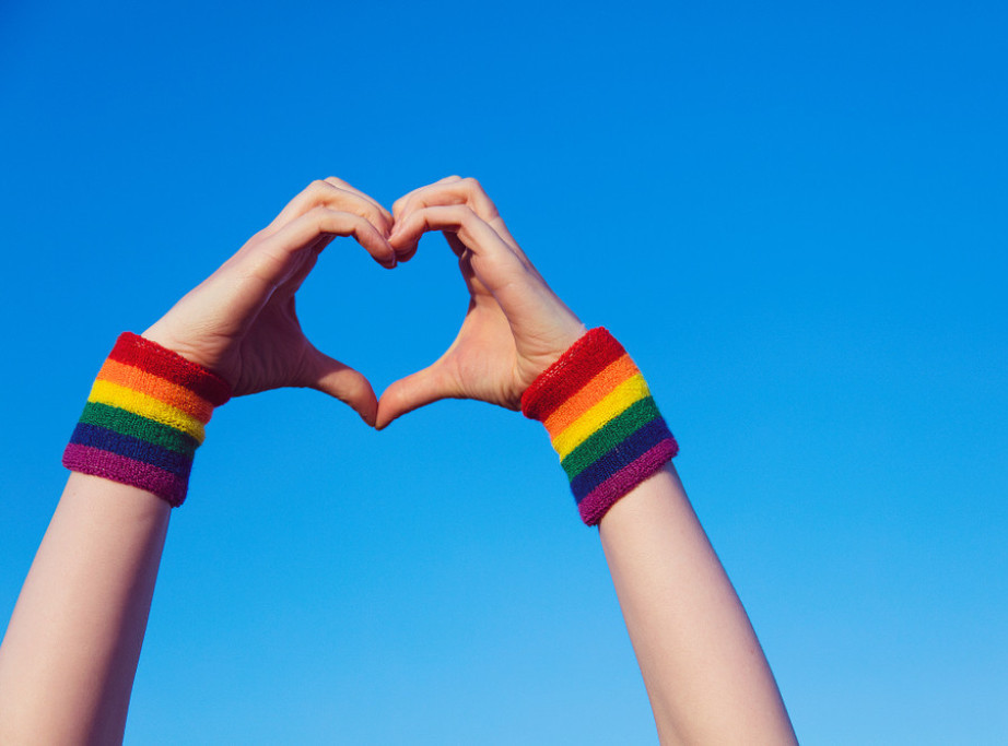 Ambasade 38 zemalja pozvale Vladu Mađarske da zaštiti prava LGBT osoba