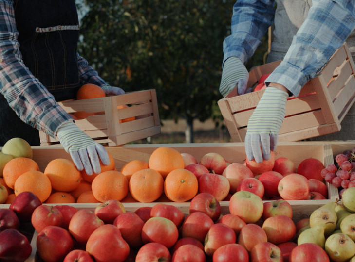 Ministarstvo poljoprivrede: Srbiji nije zabranjen izvoz voća u EU