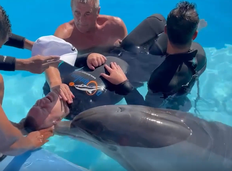 Delfini iz Šarm el Šeika ponovo će pomagati autističnom mladiću iz Beograda