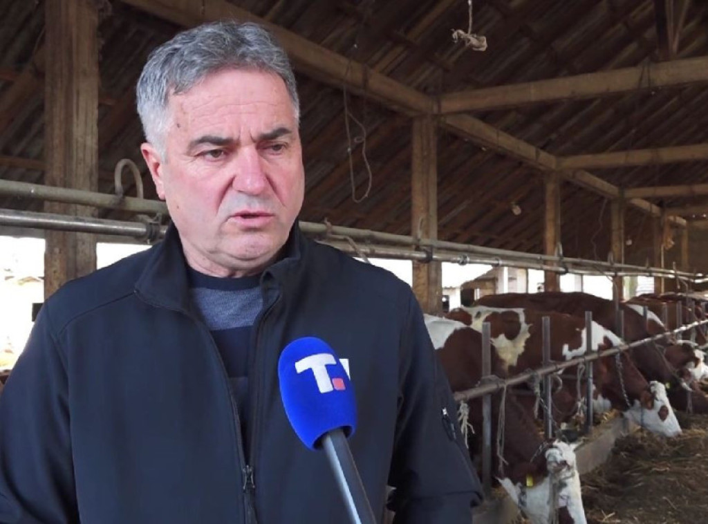 Udruženje proizvođača mleka Mačvanskog okruga: Uvode se prelevmani na uvoz mleka kako bi se zaštitili domaći proizvođači