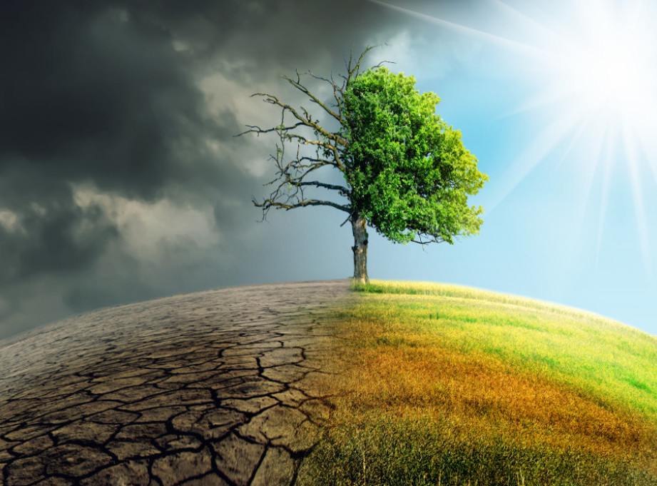 SAD: 22 savezne države podnele tužbu protiv države Njujork zbog klimatskih promena