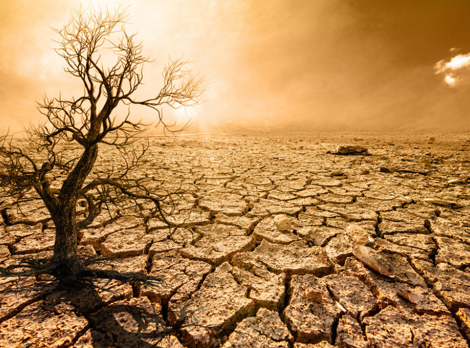 Naučnici: Francuskoj ove godine preti velika suša, gora nego 2022. godine