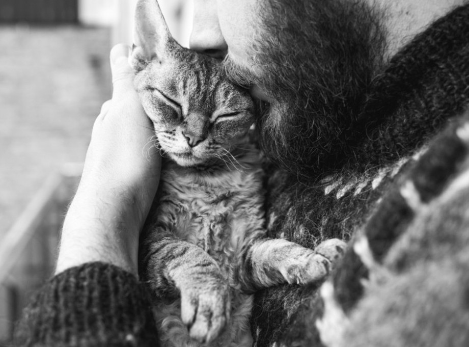 Biciklista kažnjen sa 4.000 evra jer je ubio mačku ministra San Marina