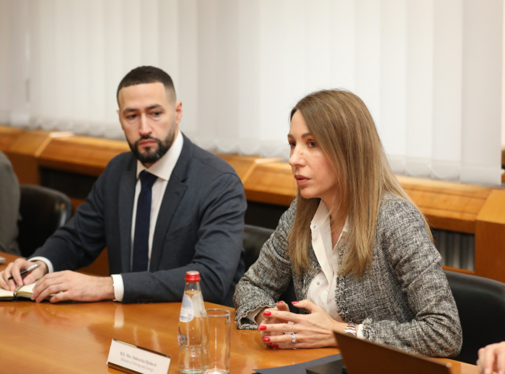 Đedović: Pred Srbijom su ulaganja u energetiku od nekoliko milijardi evra