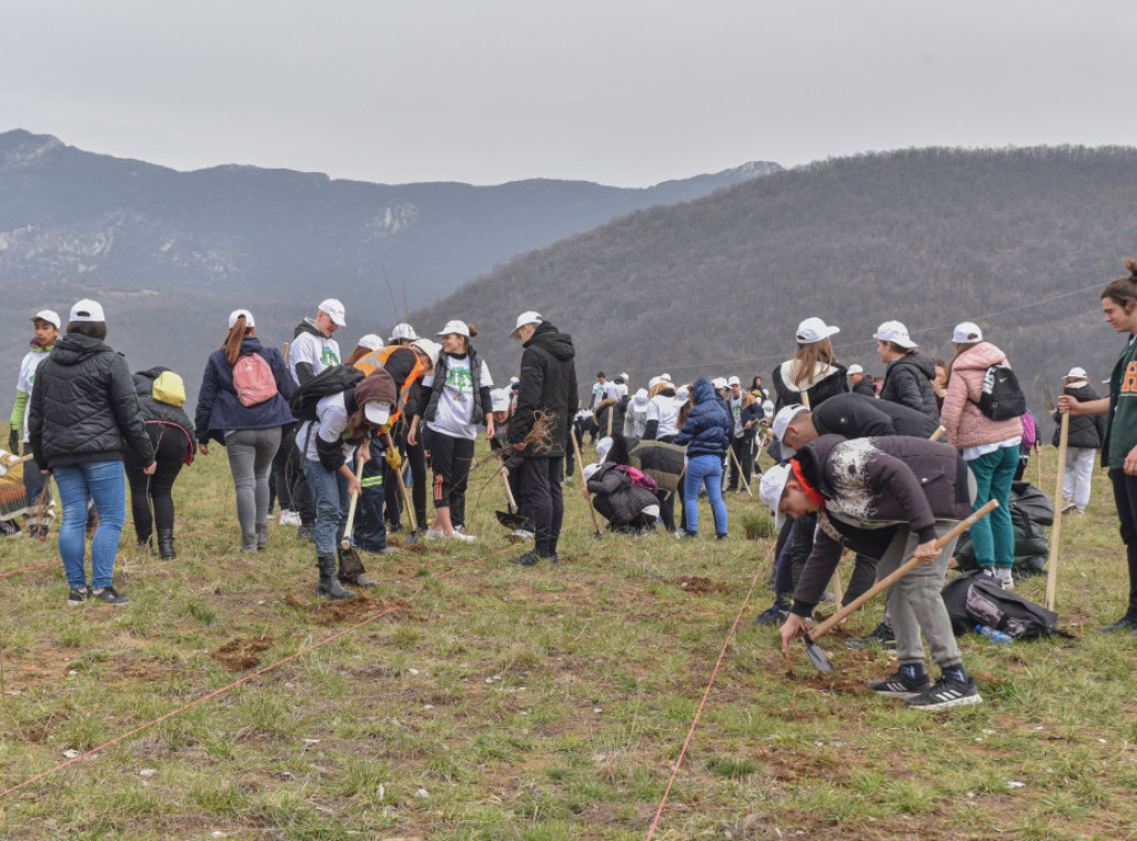 U akciji pošumljavanja lokacije rudnika Novo Cerovo, zasađeno 2.000 sadnica