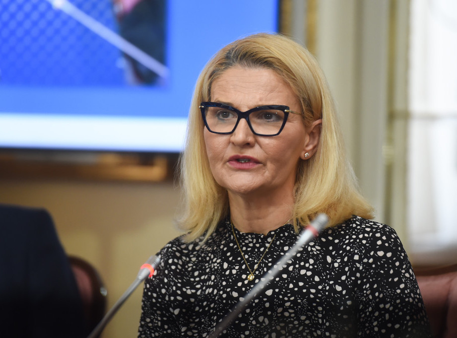 MIščević: Za EU integraciju Srbije su važna iskustva i znanje Hrvatske