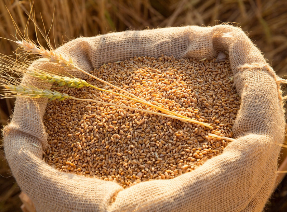 Transport pšenice preko Sueckog kanala opao za gotovo 40 odsto