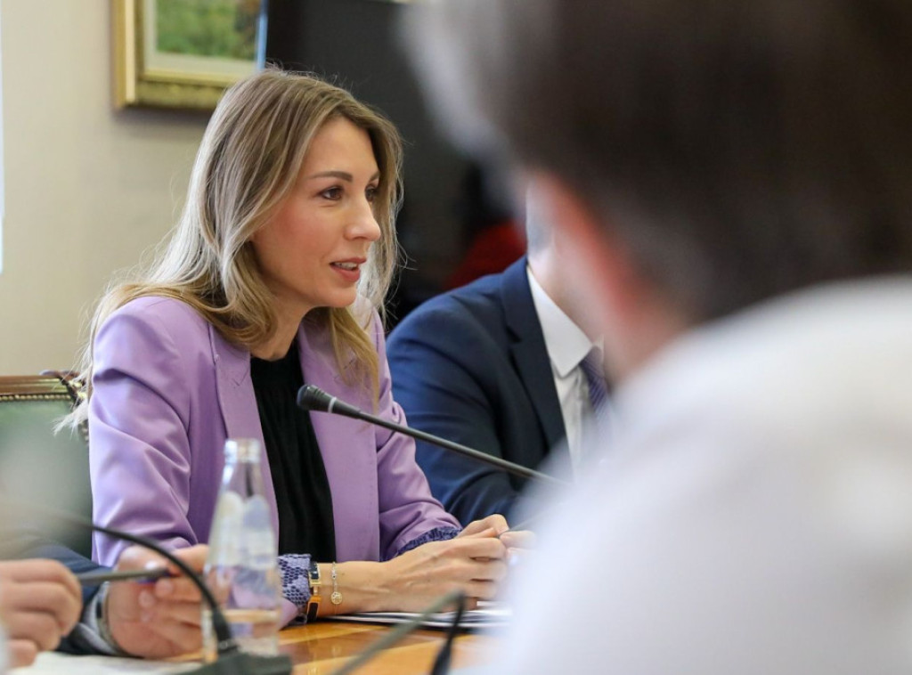 Đedović: Srbija na dobrom putu kad je u pitanju planirana energetska agenda