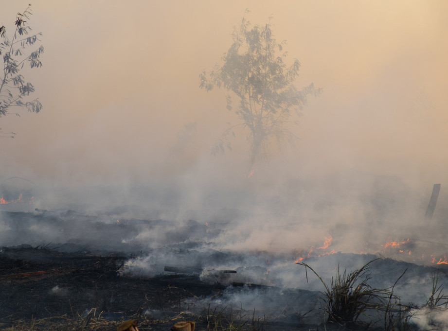 Francuska: Šumski požar, koji je izbio pre osam meseci na jugozapadu, još tinja