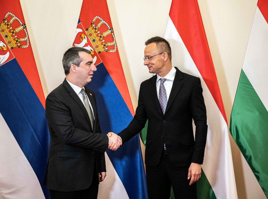 Orlic, Szijjarto welcome announced establishment of strategic council