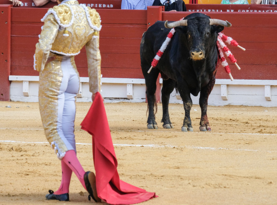 Španija ukinula godišnju nagradu za borbu sa bikovima