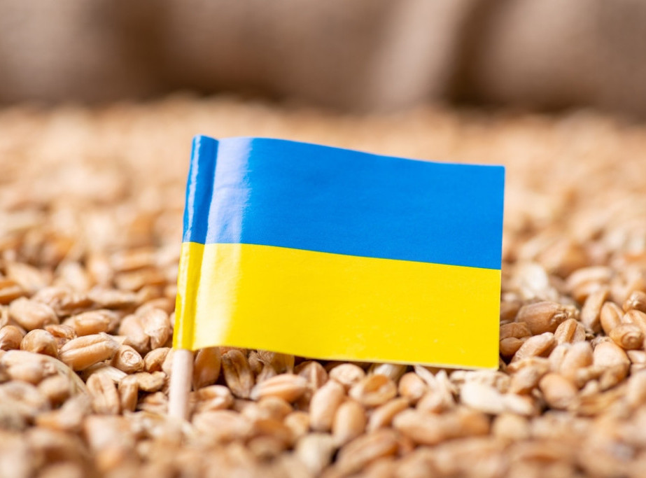 Ukrajina isporučila 8,1 milion tona žitarica preko rumunske luke Konstanca