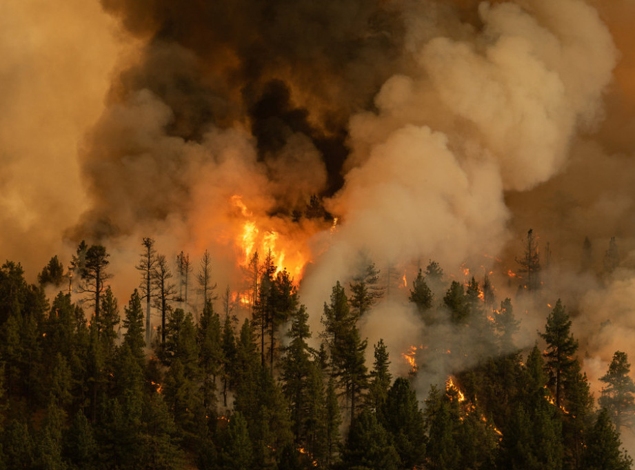 Upozorenje o kvalitetu vazduha izdato u SAD zbog šumskih požara u Kanadi