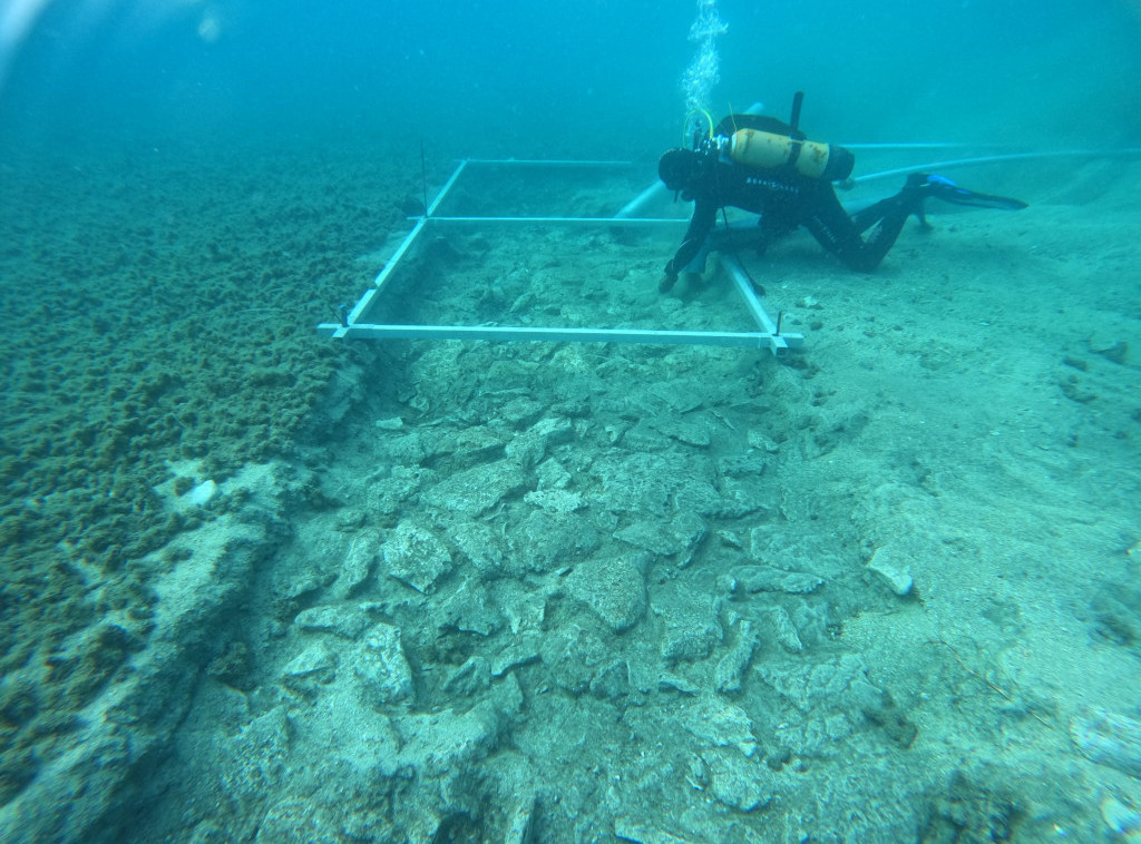 Hrvatska: Na Korčuli pronađeni podvodni ostaci puta starog skoro 7.000 godina