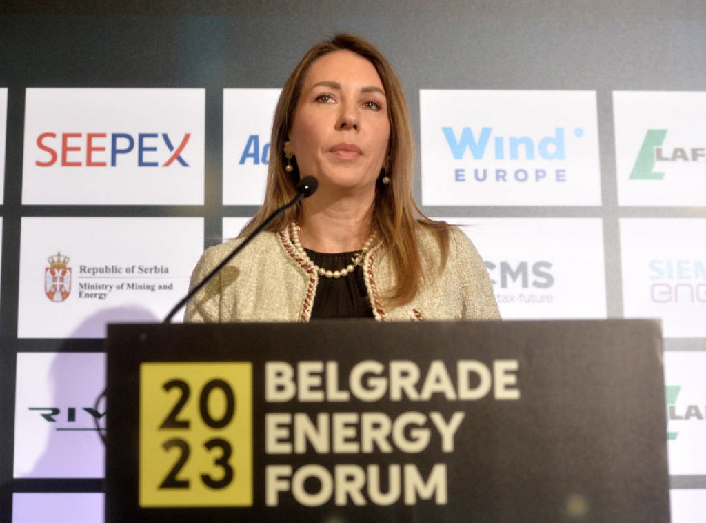 Djedovic: Energy transition, energy independence our main tasks