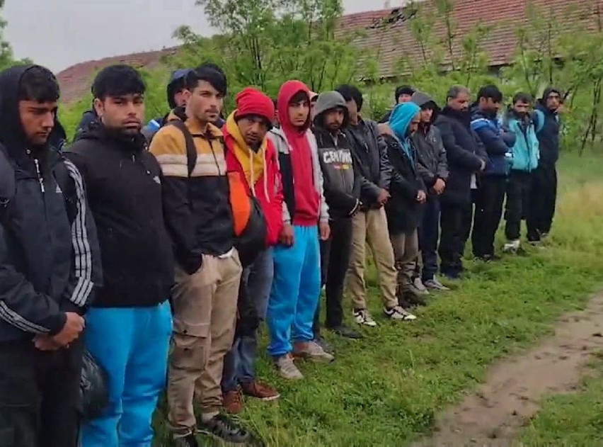 Hrvatska: Kombi sa više od 40 migranata zabio se u automobil, migranti se razbežali po šumi