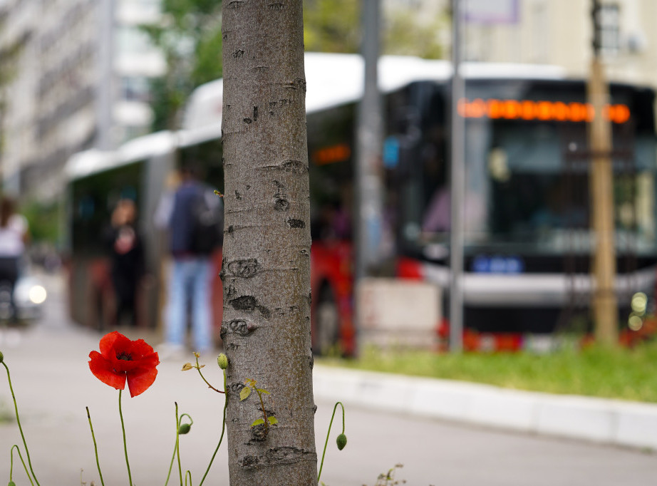 Privremeno izmeštanje stajališta "Mostar"
