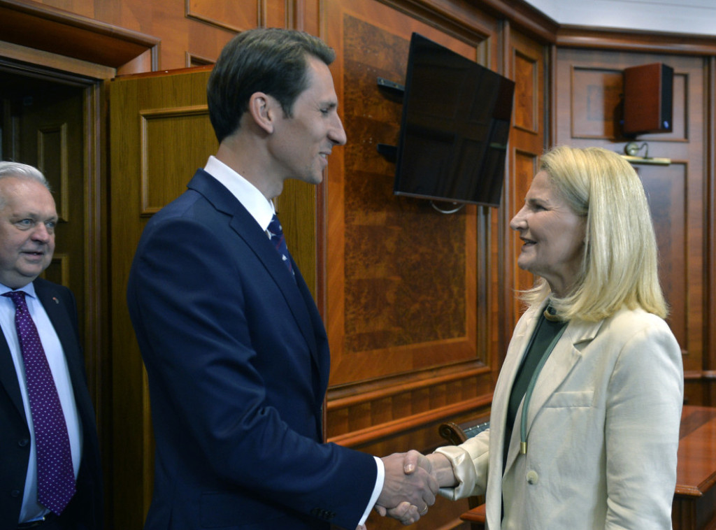 Miscevic meets with delegation of Polish parliamentary committee
