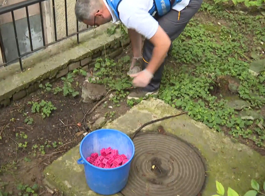 Ekipe JKP "Gradska čistoća" sprovode akciju suzbijanja štetnih glodara