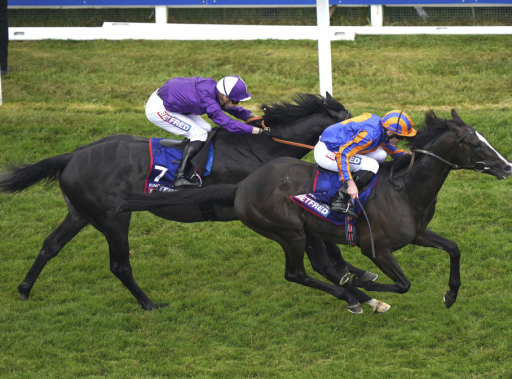 Engleska: Uhapšeno 19 ljudi koji su planirali da prekinu konjsku trku