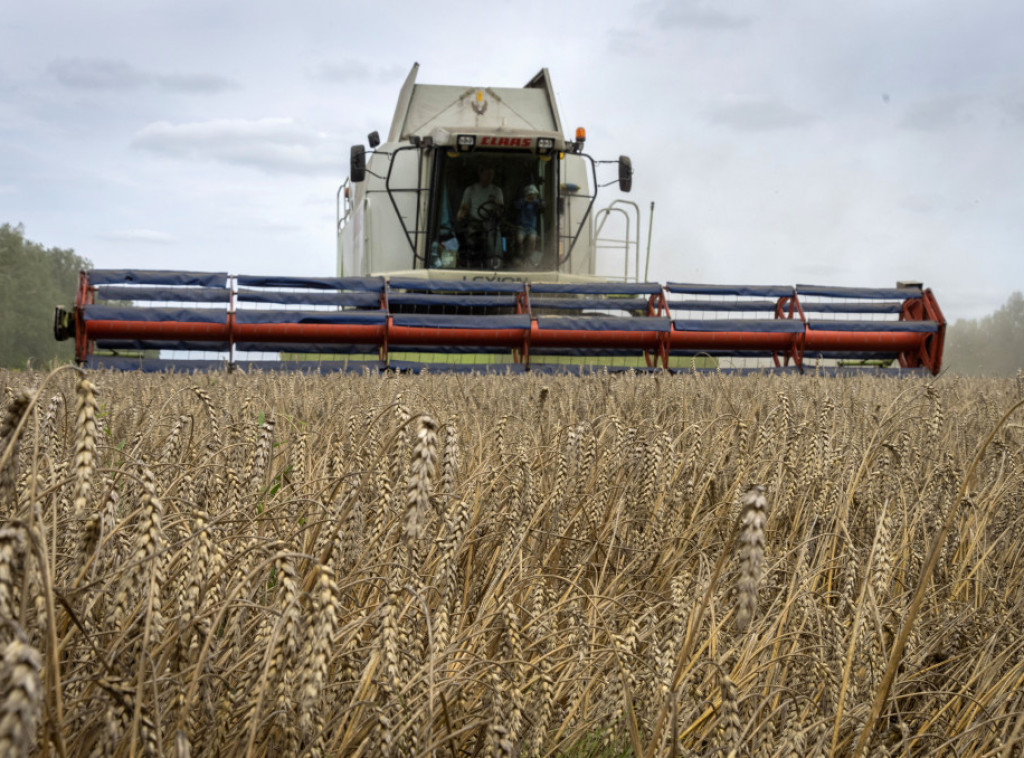 Francuska, Nemačka, EU, SAD, STO: Rusija da prestane sa ucenama i preispita odluku o Sporazumu o žitu