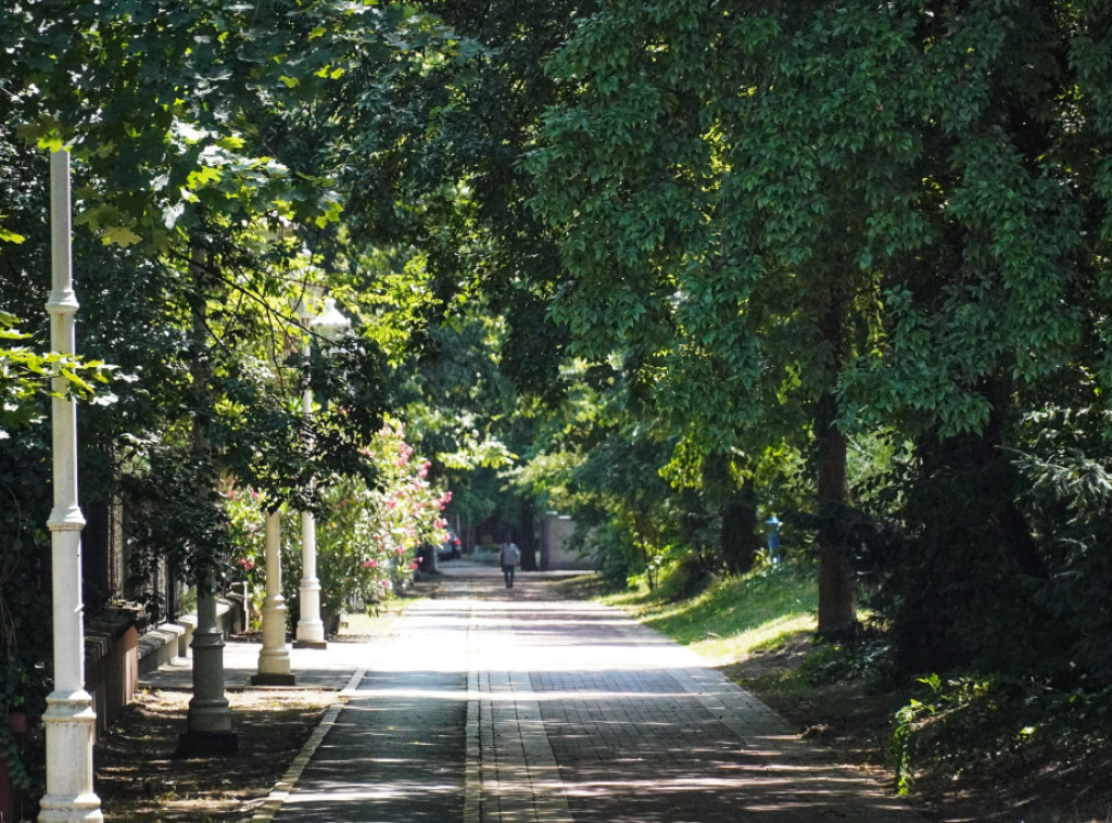 U Srbiji danas toplo i sunčano, temperatura do 31 stepen