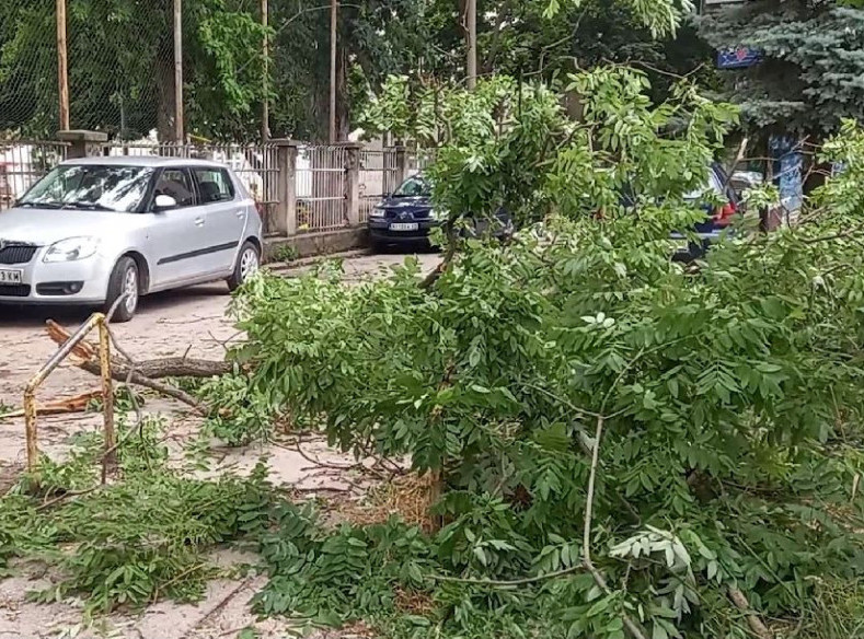 Snažno nevreme pogodilo Zrenjanin, vetar lomio grane sa drveća