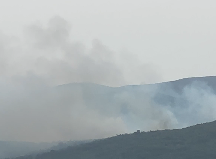 Izbili šumski požari u tri okruga u Izmiru u Turskoj