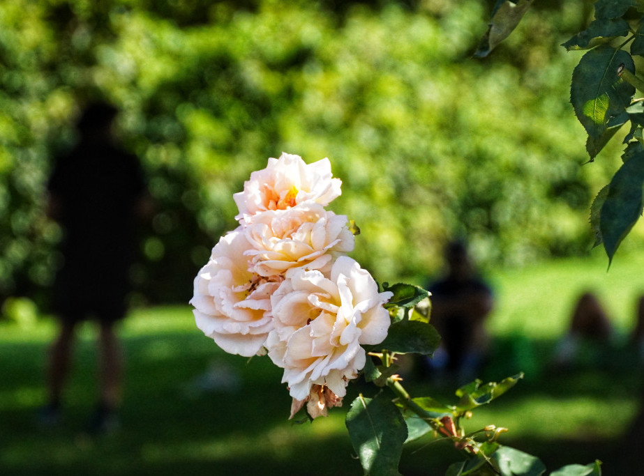 Grčku i Balkan zahvatio toplotni talas