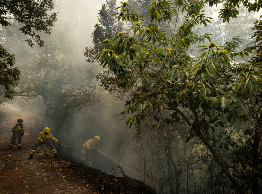 Kanarska Ostrva: Vatrogasci su stabilizovali veliki šumski požar na ostrvu Tenerife