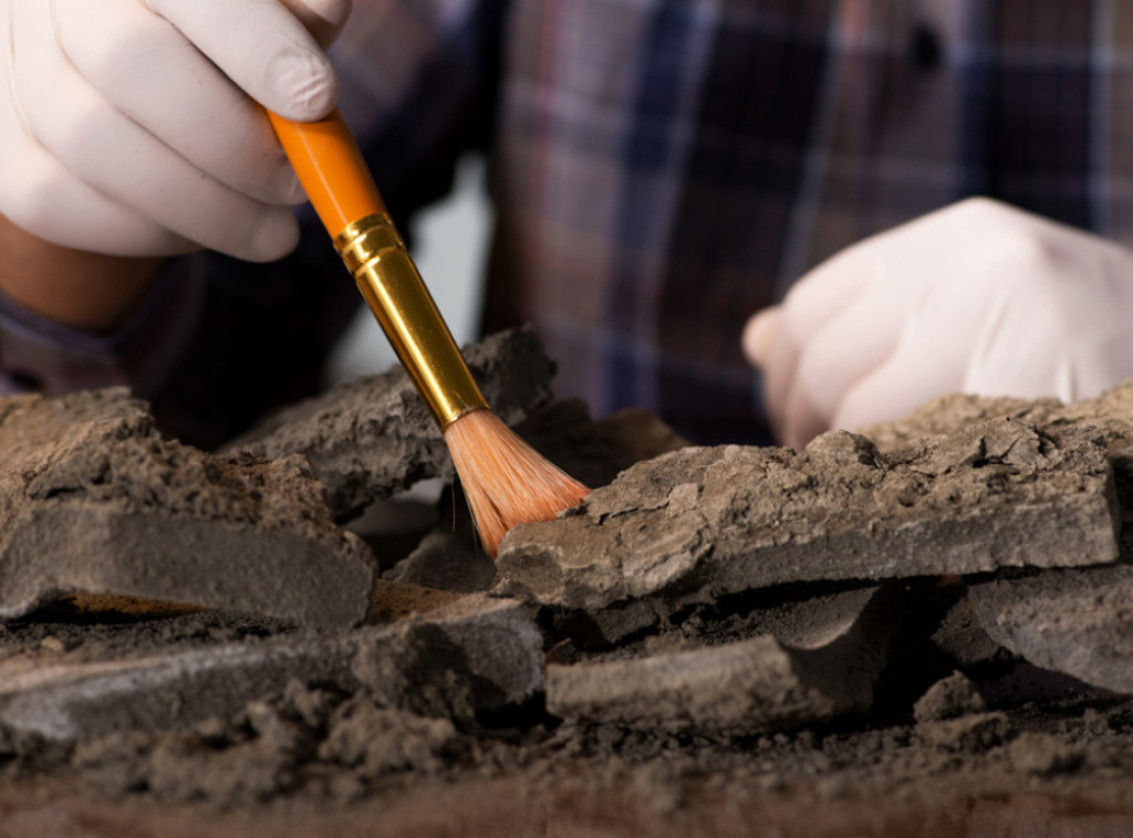 Tragovi ugriza na skeletu iz doba Rima dokaz da su se gladijatori borili sa lavovima