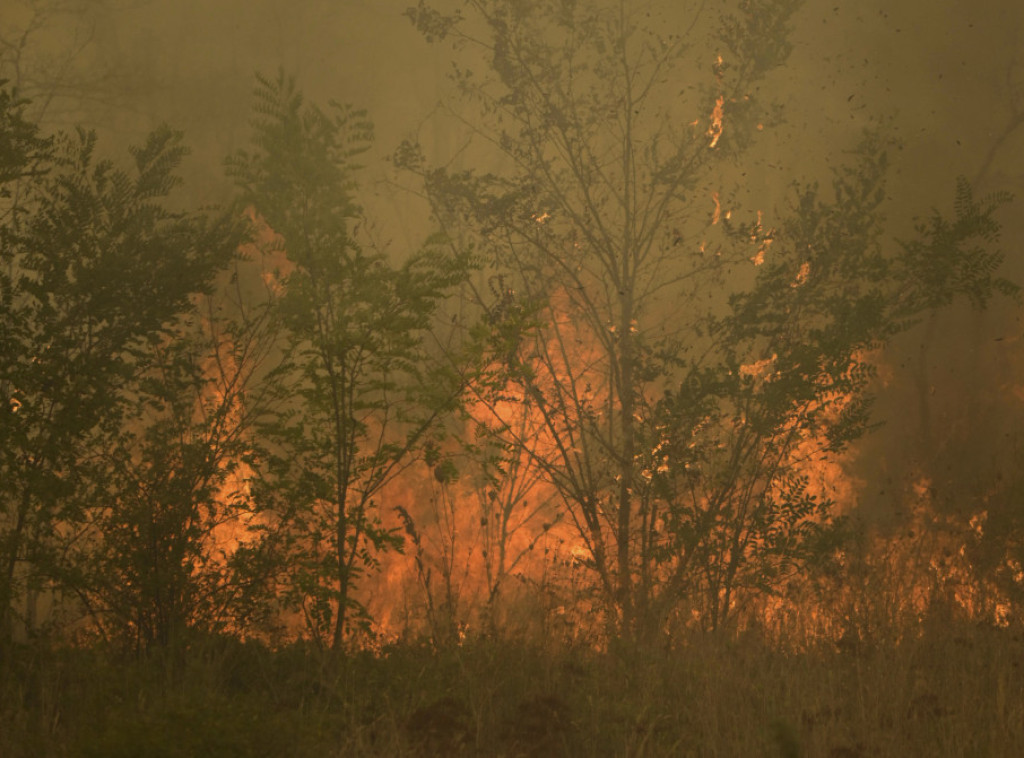 Grčka: Požar u Evrosu gori već 14. dan