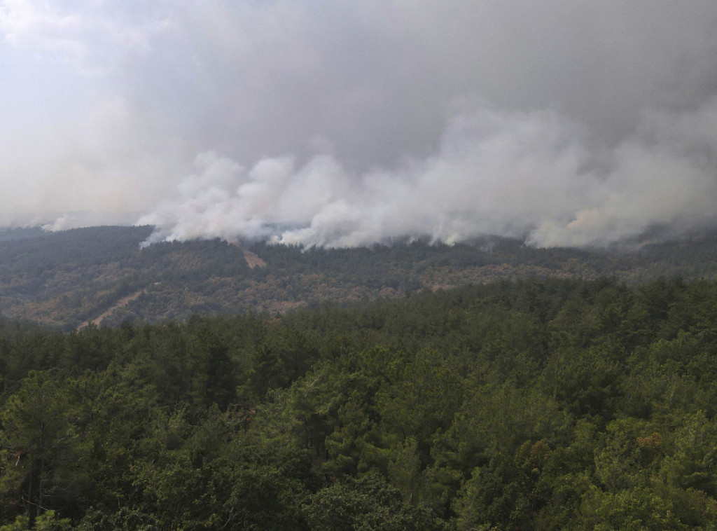 Veliki šumski požar na severoistoku Grčke postepeno jenjava