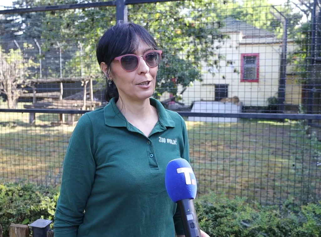 Andrijana Tot: Pronađena petomesečna lavica je nestabilno, i dalje se ne zna odakle je došla