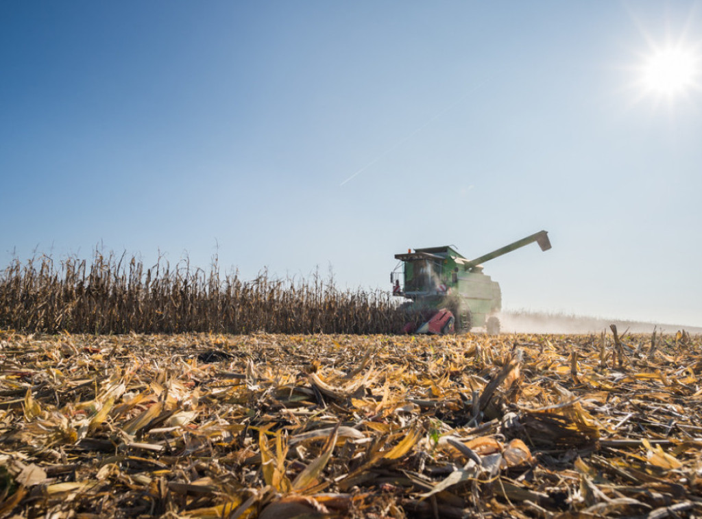 Leskovac izdvojio 80 miliona dinara za podsticaj poljoprivrednicima, konkurs otvoren do 21. jula