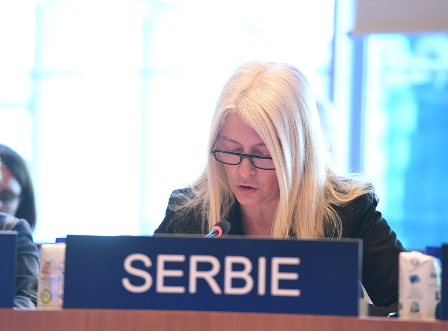 Ministarka Begović: Srbija čvrsto podržava neprocenjive principe UNESKO