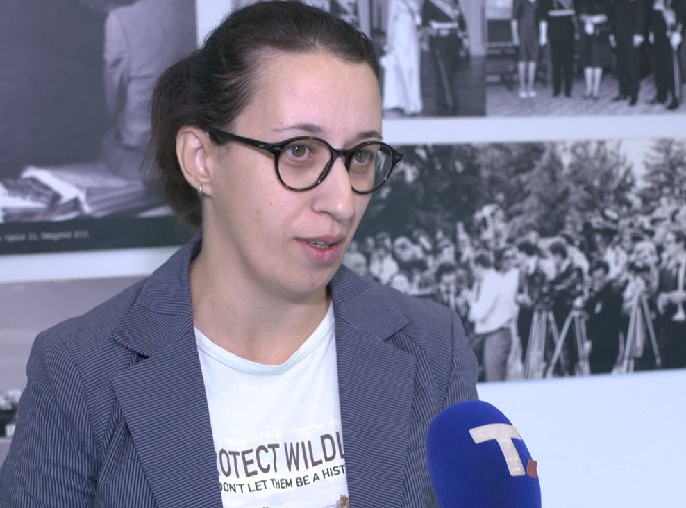 Seizmolog Ana Mladenović: Mašine ne mogu da zamene čoveka
