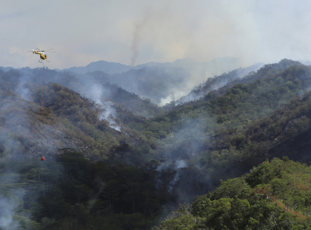 Novi požar na Havajima uništava nezamenljivu prašumu Oahua