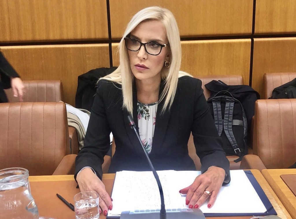 Ministarka pravde Maja Popović: Veće kazne za gaženje dece, za oružje do 15 godina robije