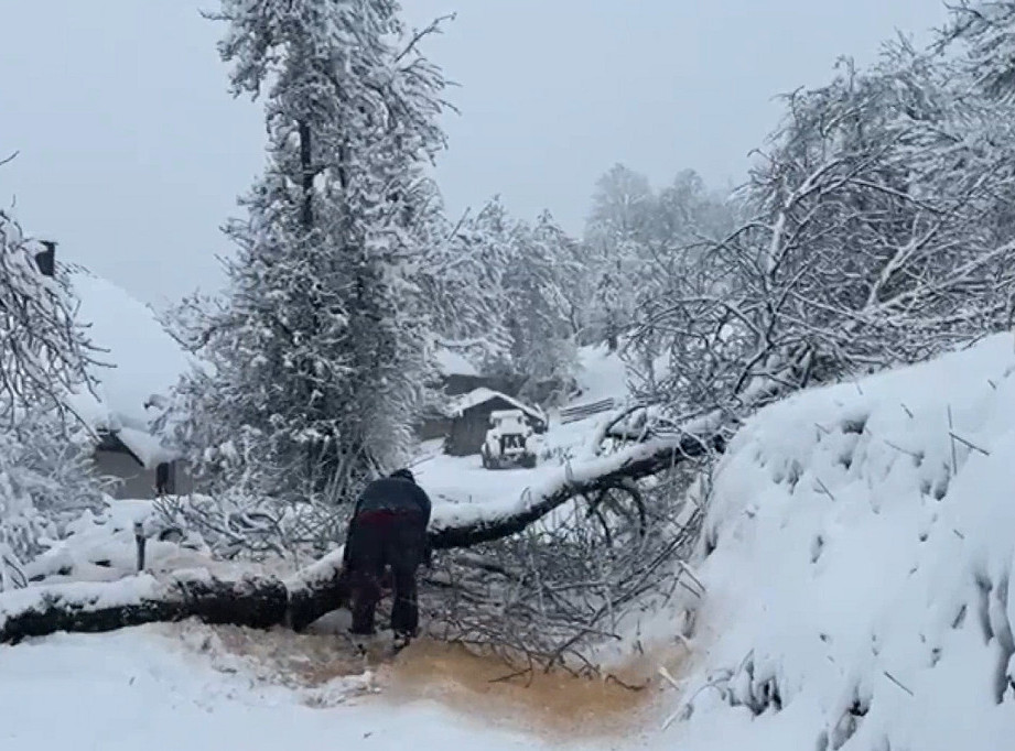 Sneg napravio probleme u selima iznad Ivanjice; Deo teritorije opštine Nova Varoš bez struje i telefonske veze